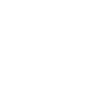 Embedded GPU